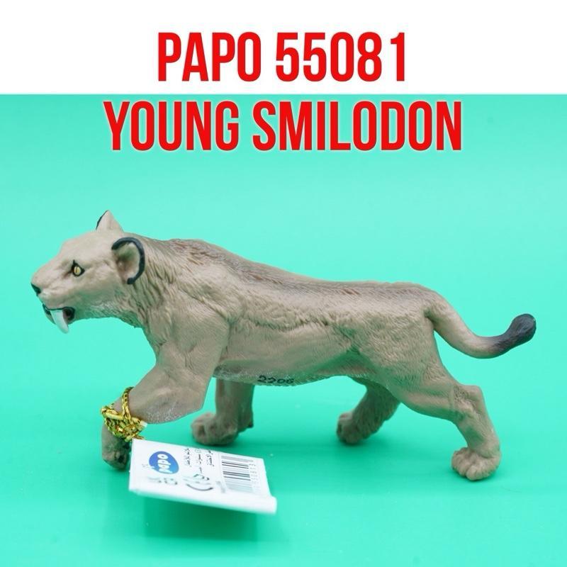 PAPO 55081 Machairodus Young Smilodon | Mainan Figure Binatang Miniature Hewan Animal Figurine Pajan