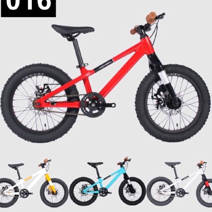 Sepeda Anak Patrol Kids 016 16 inch - Mtb Anak - Vogue Silver