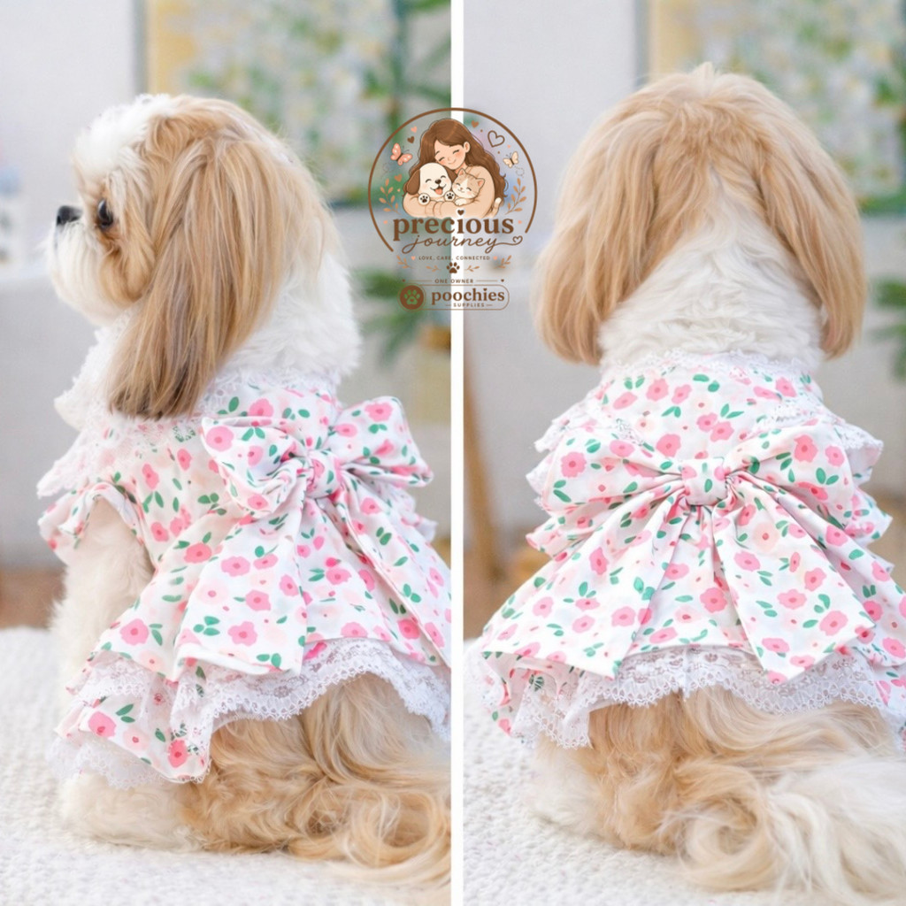 [Precious Journey] Baju anjing kucing - Rosy Garden Lace Dress