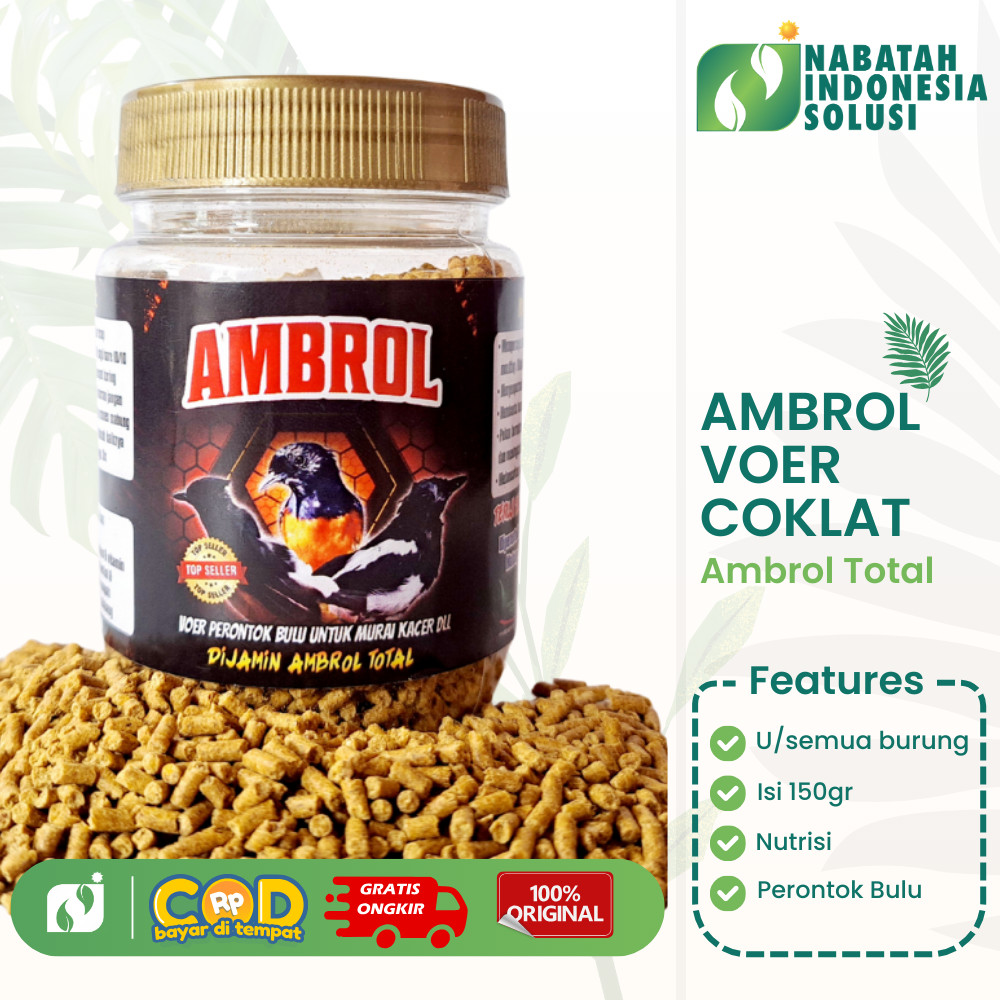 AMBROL VOER COKLAT PERONTOK BULU BURUNG TERJAMIN AMBROL TOTAL UNTUK BURUNG MURAI , KACER , DLL