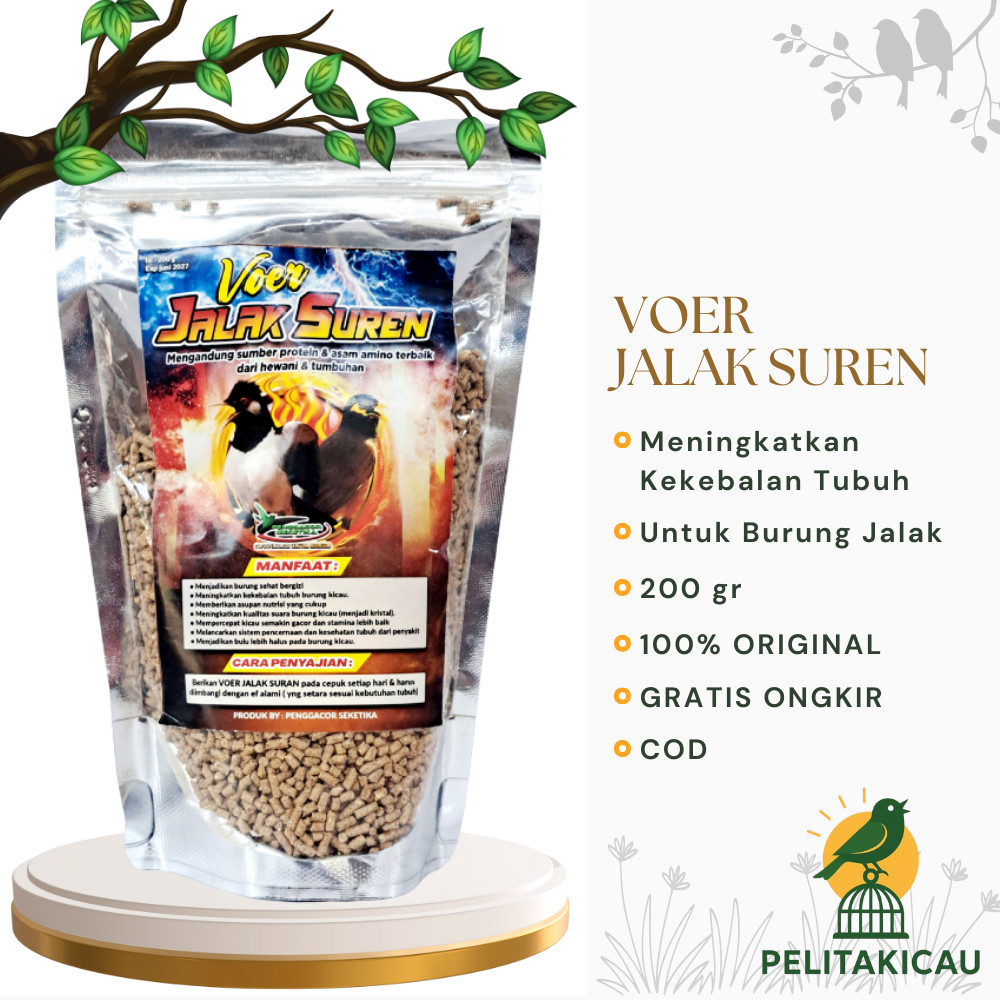 Voer Pakan Jalak Suren Penggacor burung Makanan pakan burung jalak suren