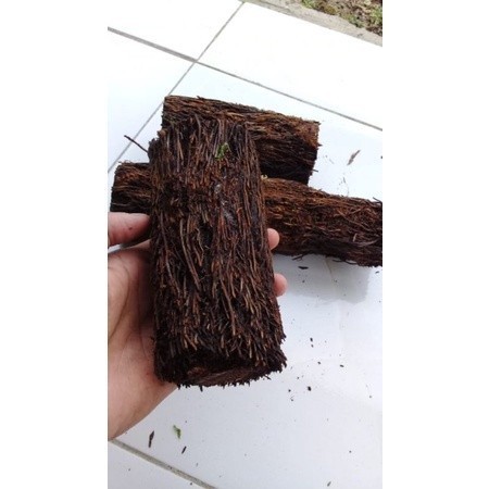 Batang pakis bulat media anggrek