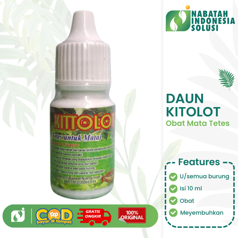 DAUN KITOLOT 10ML OBAT KATARAK OBAT SNOT PADA BURUNG MURAI IRITASI