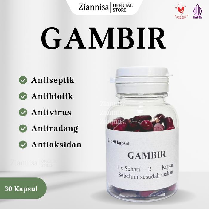 GAMBIR KAPSUL OBAT HERBAL