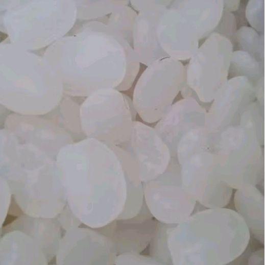 kolang Kaling segar asli original bersih 1 kg