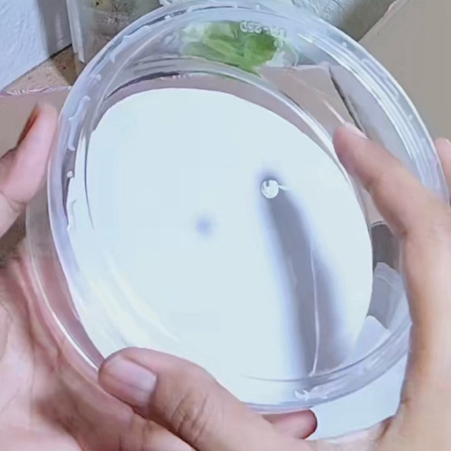 12 Pcs — Toples kue kering 500gr bulat datar / Toples nastar 500gram / toples cookies 1 Lusin