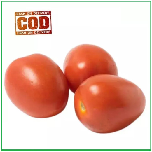 TOMAT BESAR 20Biji / Benih / bibit TOMAT AGATHA F1 / TOMAT BESAR - bibit buah / bibit sayur