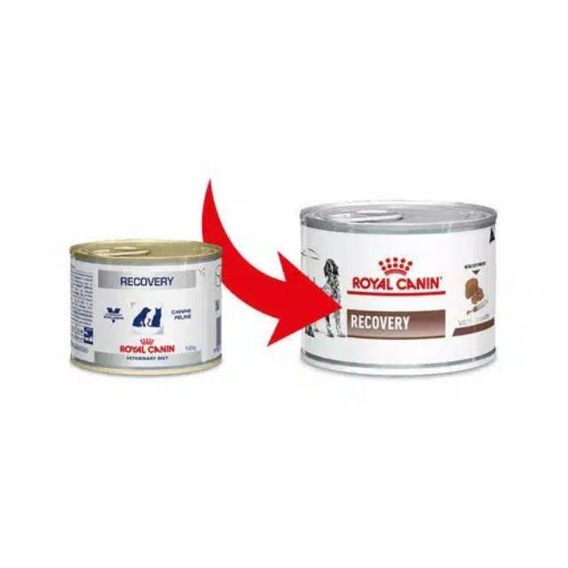 Recovery royal canin makanan kucing anjing wet food
