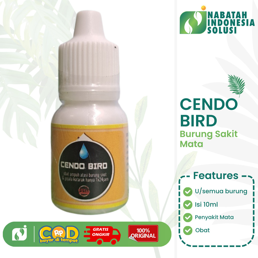 CENDO BIRD OBAT BURUNG SAKIT MATA KATARAK BERLENDIR BERAIR MATA SNOT