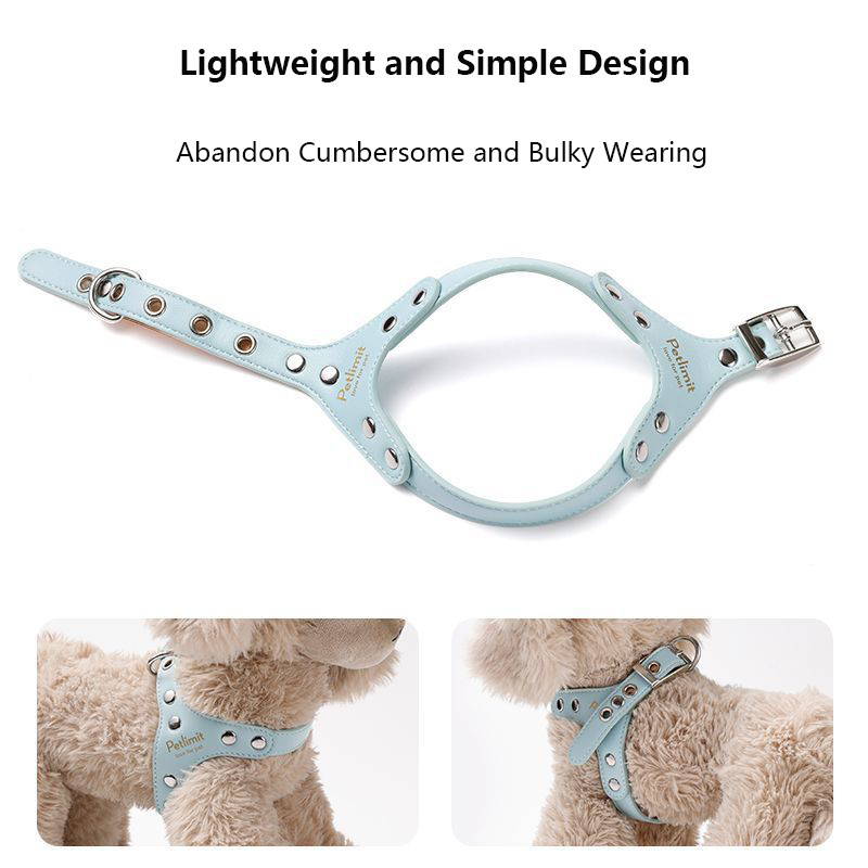 Premium Leather Dog Harness and Leash Set with Reinforced Rivets for Small Dogs - Durable Pet Harnes