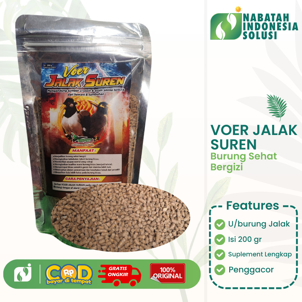 VOER PAKAN JALAK SUREN PENGGACOR BURUNG MAKANAN PAKAN BURUNG JALAK SUREN