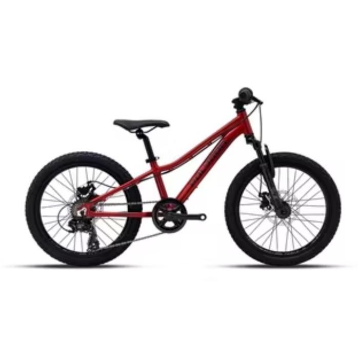 Sepeda Gunung Anak Polygon MTB 20 Relic