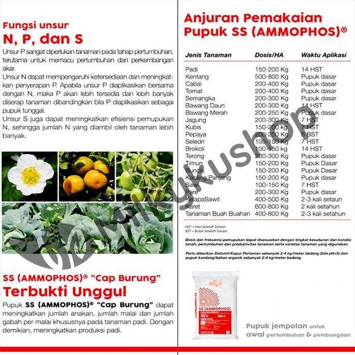 PUPUK MEROKE SS AMMOPHOS 50 KG KEMASAN PABRIK GOSEND GRAB