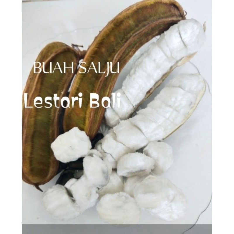 BUAH SALJU / BUAH ES 1 kilo dikirim dari bedugul bali