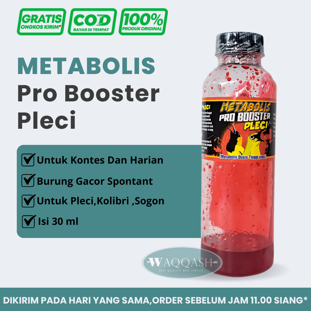 Pro Booster Pleci Juara Metabolis Dosis Tinggi pleci Vitamin Burung Pleci