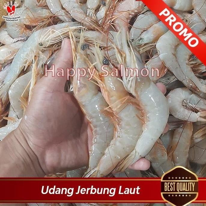 Udang Jerbung Laut Segar 1kg | Udang Banana Peci | Udang Laut Premium