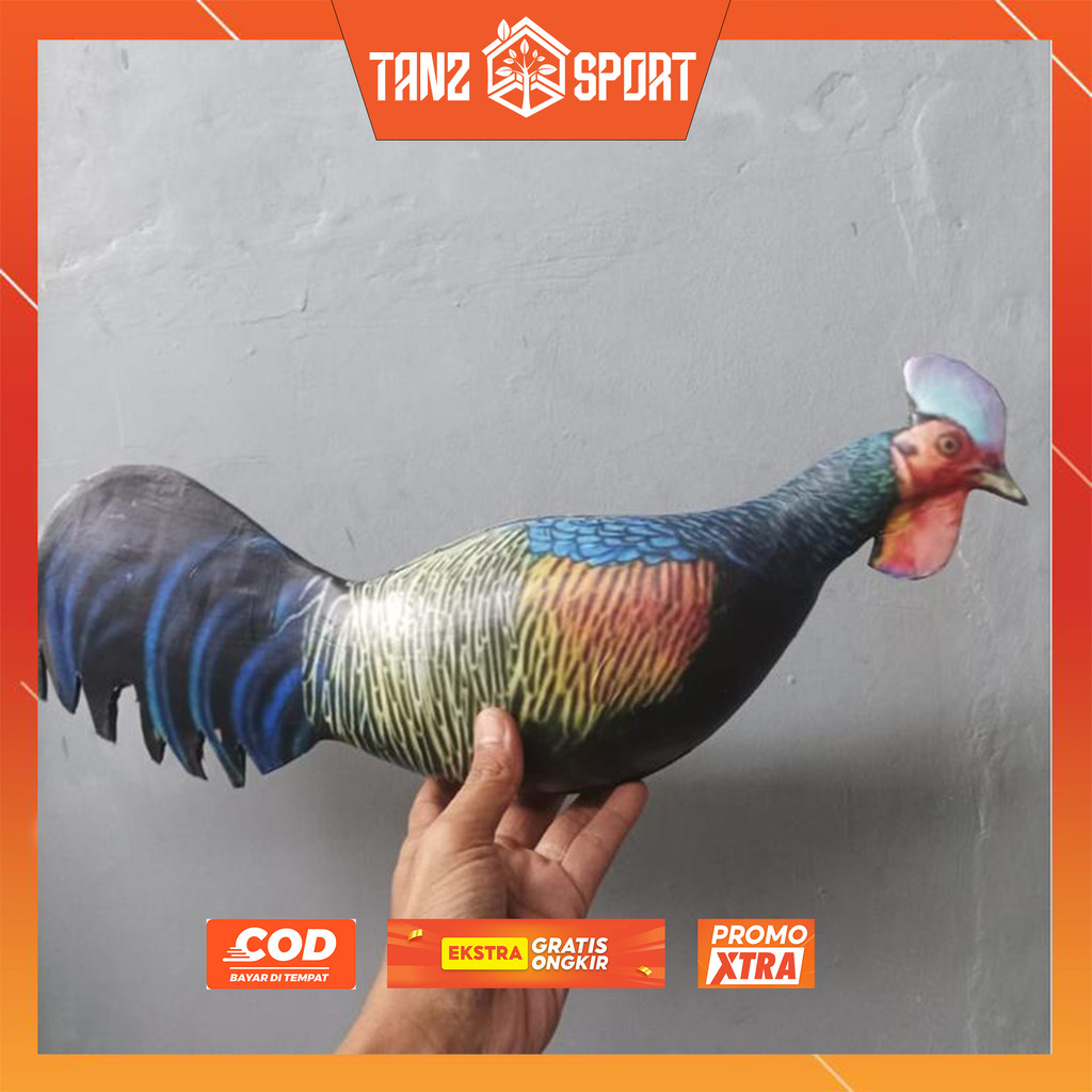 JONTROT AYAM HUTAN BETINA PIKAT BETINA AYAM HUTAN MERAH JANTAN AYAM CAWEHWER MIRIP ASLI TAHAN PENYOK