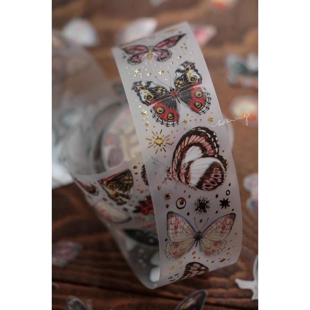 Lin Chia Ning (LCN) PET Sampler for Decoration