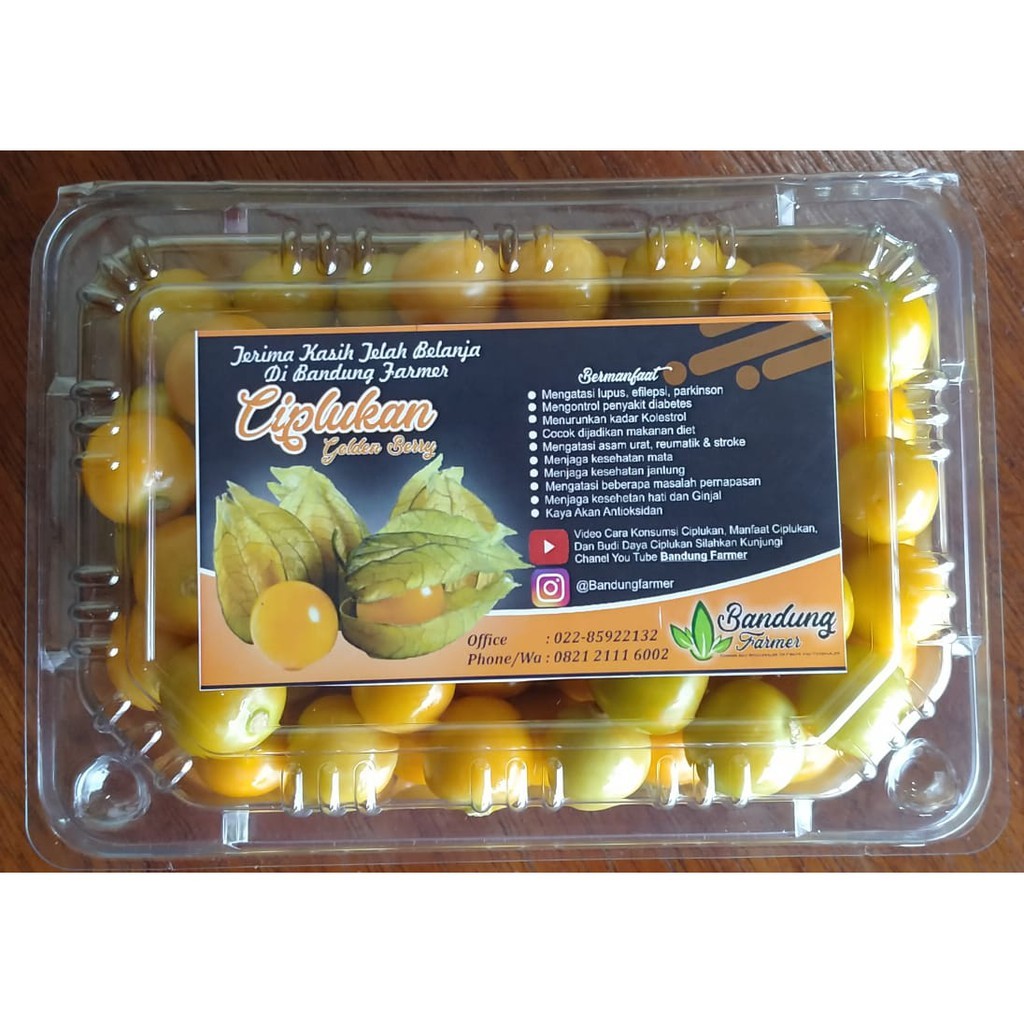 Jual Buah CIPLUKAN KUPAS 250 Gram Buah Enak Banyak Manfaat