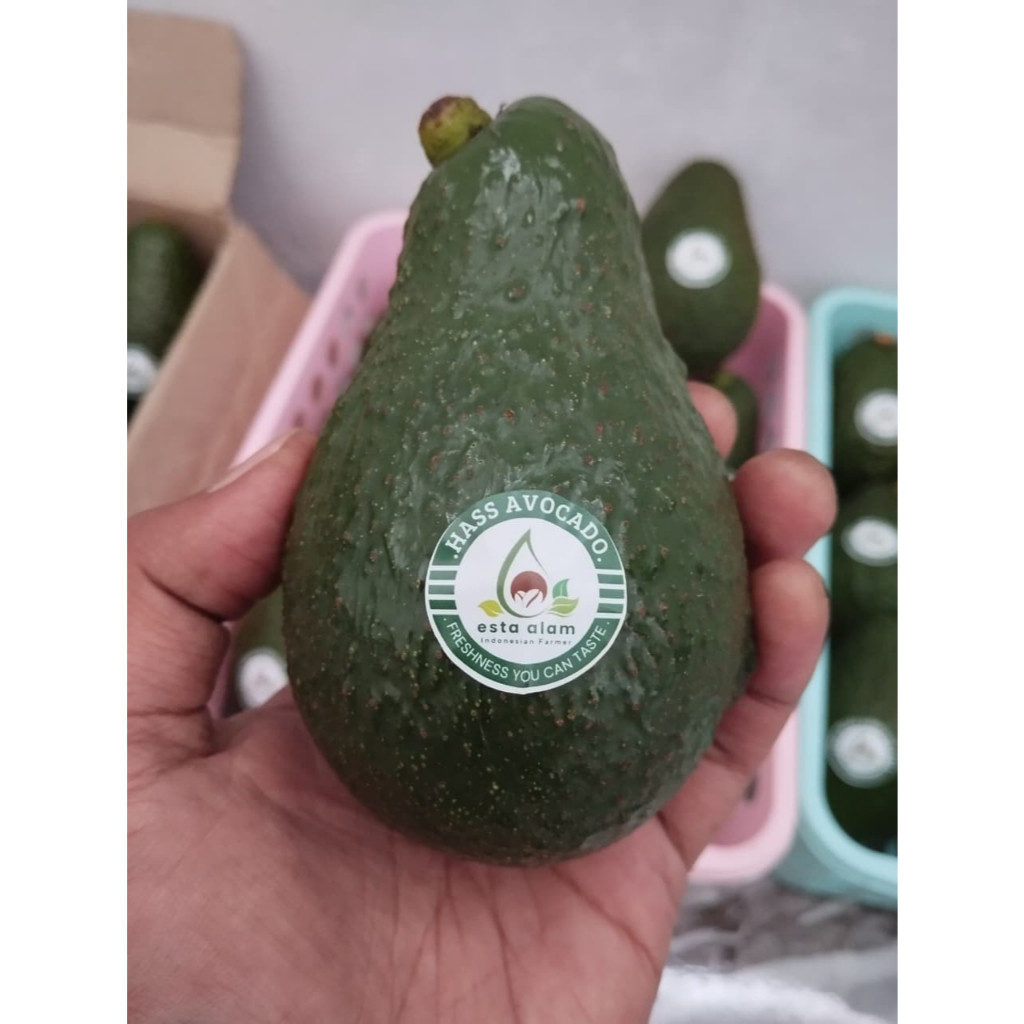 Alpukat Hass Australia Nusantara / Kg