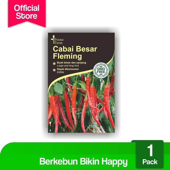 Benih Bibit Cabai Besar