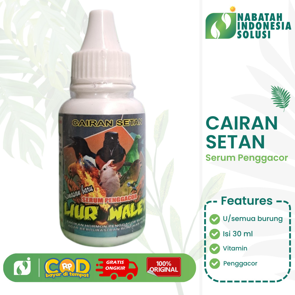 CAIRAN SETAN LIUR WALET SUPLEMEN VITAMIN PENGGACOR BURUNG