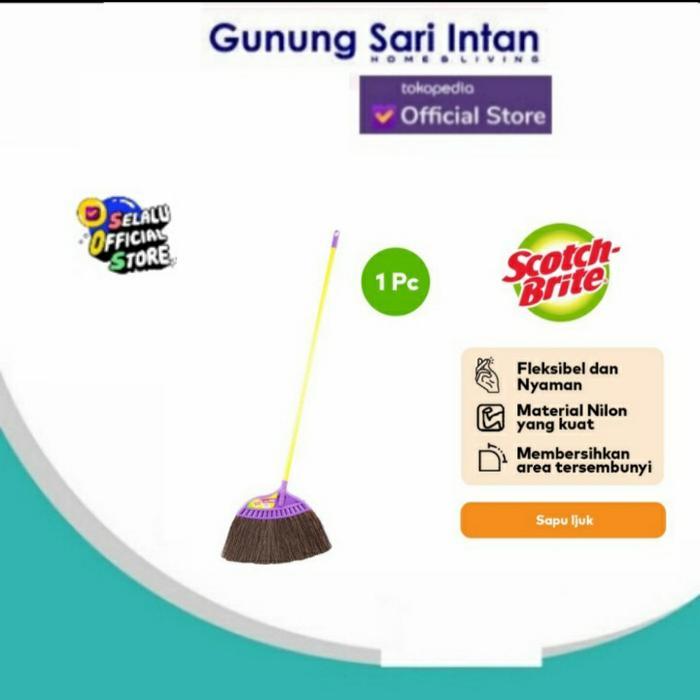 3M Scotch Brite Sapu Ijuk Set