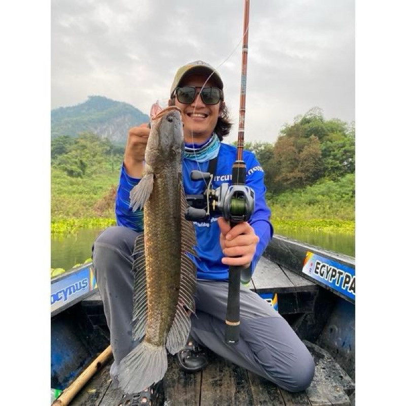 Joran Fenwick Lunker Stik Spinning & Baitcasting Rod