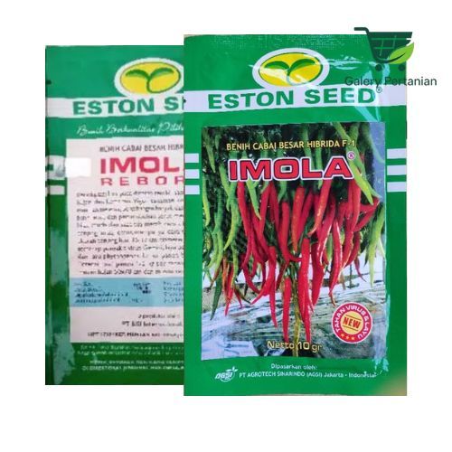 Benih Cabe Besar Imola New F1 Original 10gr Panen 73–78 HST Super Produktif