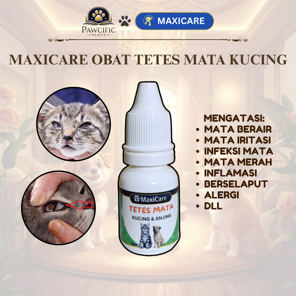 PP Maxicare TETES MATA 10ML Obat Tetes Sakit Mata Kucing Belekan Berair Bengkak Berselaput