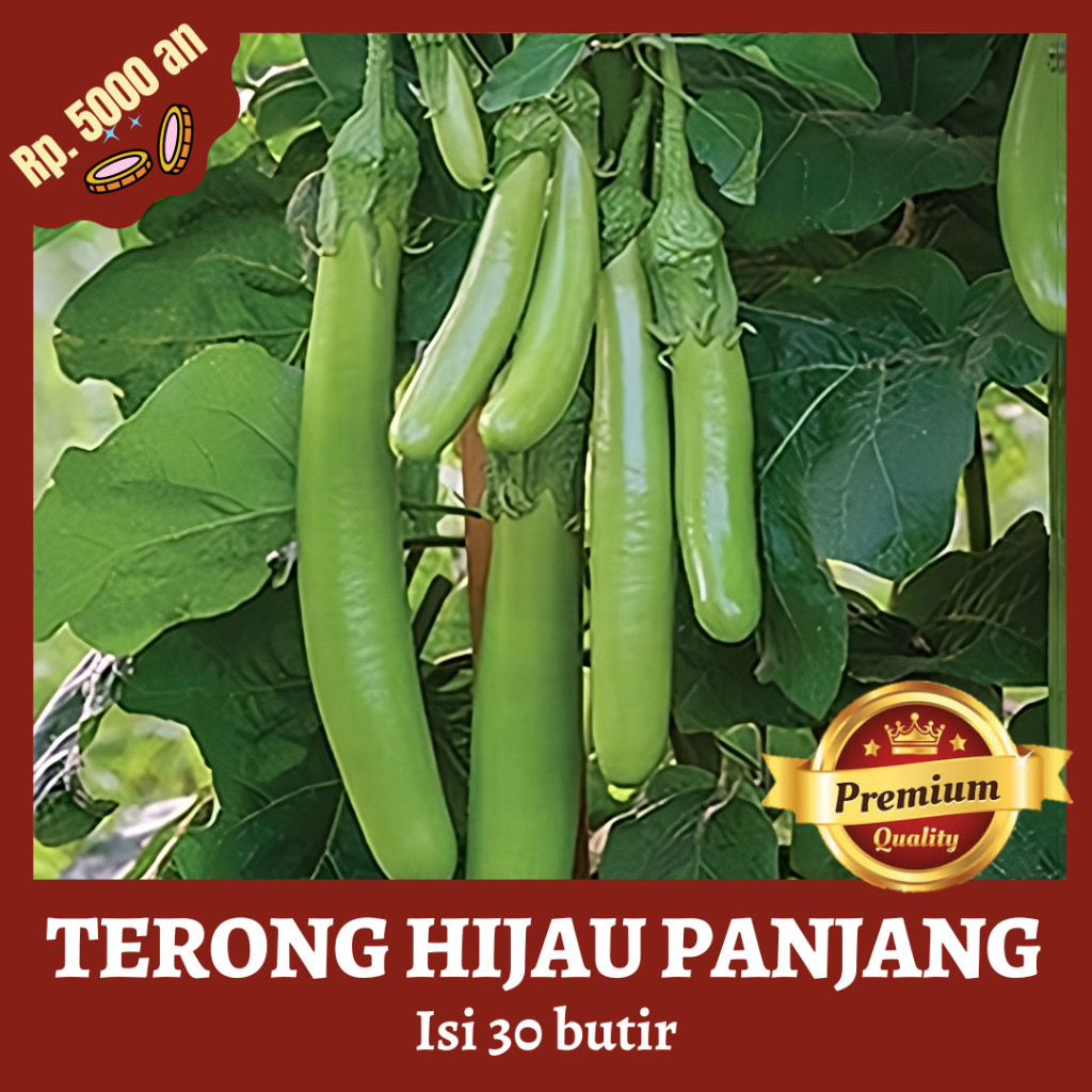 Termurah Benih Bibit Sayur Terong Hijau Panjang 30 Butir Terong super Tahan Virus