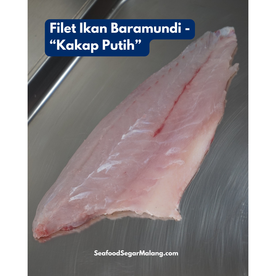 Fillet Ikan Kakap Putih Baramundi