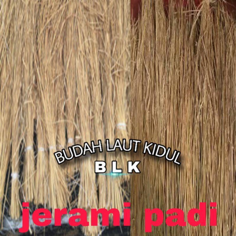 Jerami padi kering | jerami padi kering | 1pcs = 400 gram