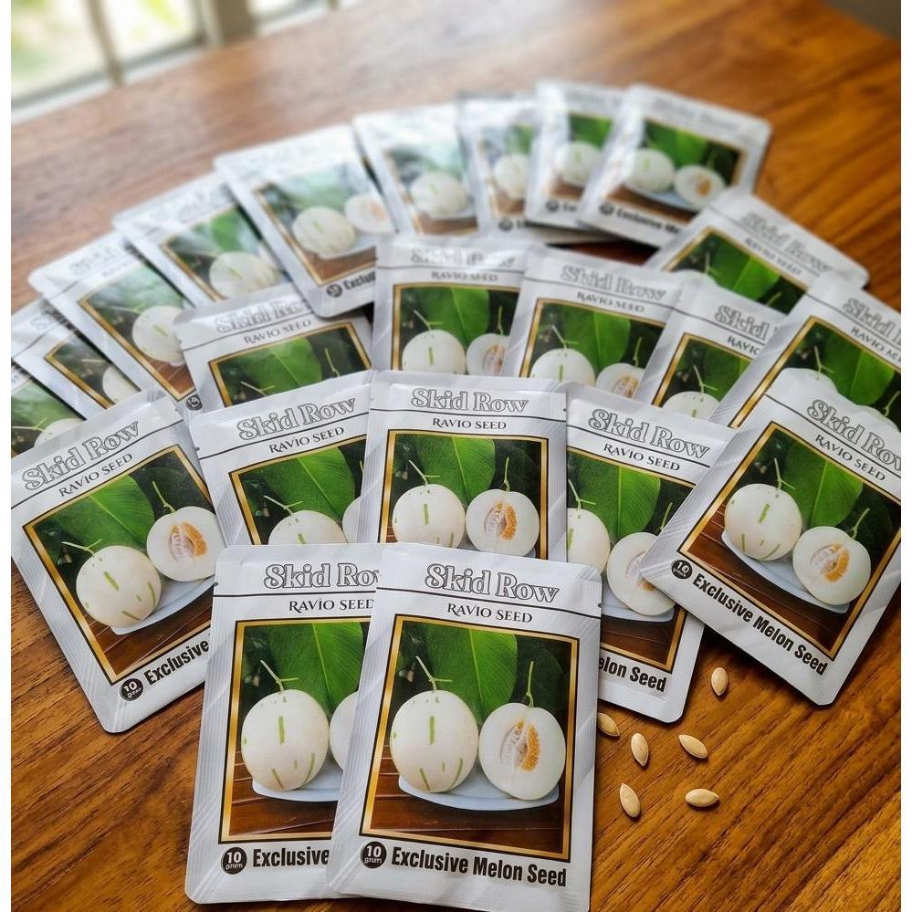 Benih Bibit Melon PREMIUM SKIDROW