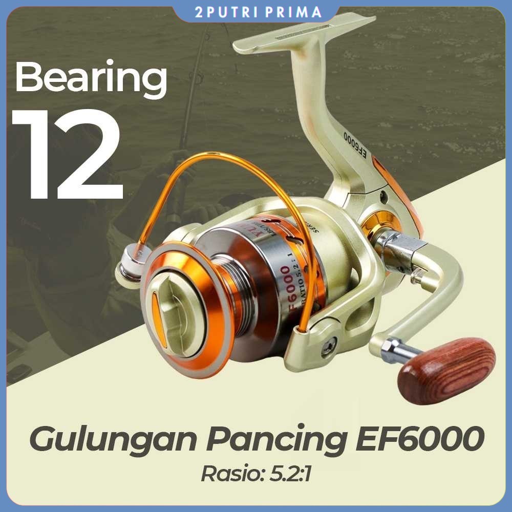 Reel Pancing Spinning 12 Ball Bearing - YUMOSHI REELSKING EF6000