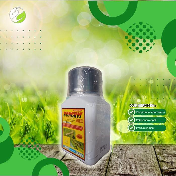 insektisida Bongkis 250 ml untuk ulat jagung