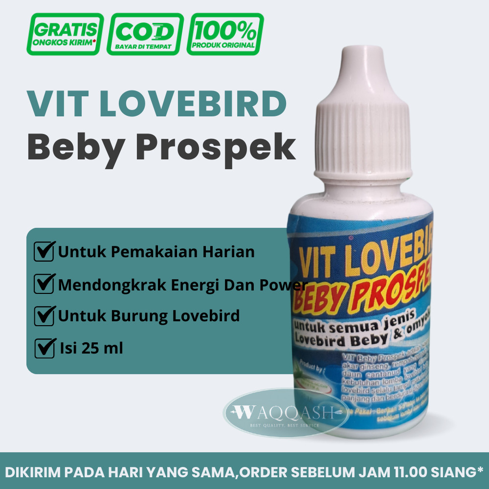 Vitamin Burung Lovebird Beby Prospek Vitamin Lomba Alami Lovebird Juara