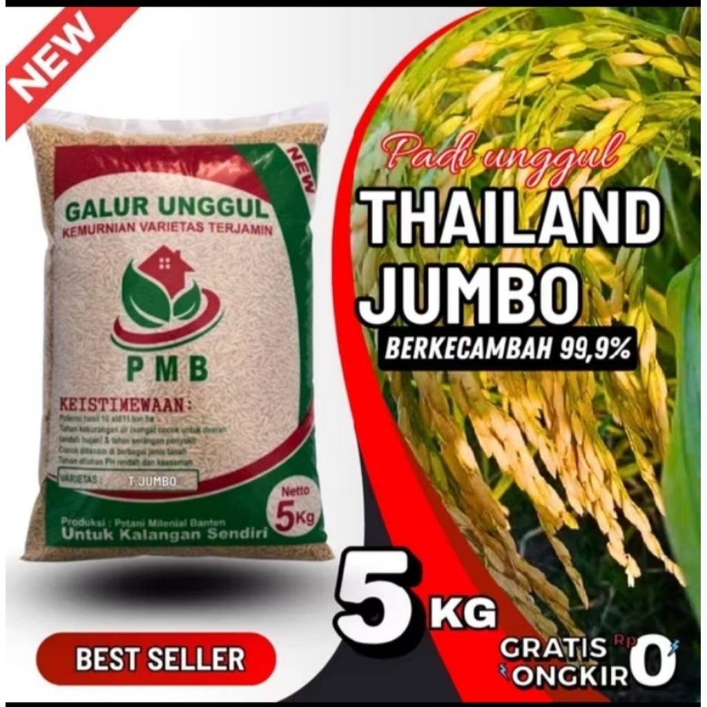 Benih Padi Thailand Jumbo Kemasan 5Kg Original