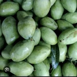 mangga mentah/ mangga muda 2kg PROMO