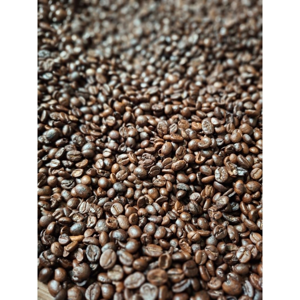 

JAMIN MURAH !!!Kopi Arabika Gayo 500g (100% tanpa campuran)(BISA LANGSUNG ORDER)