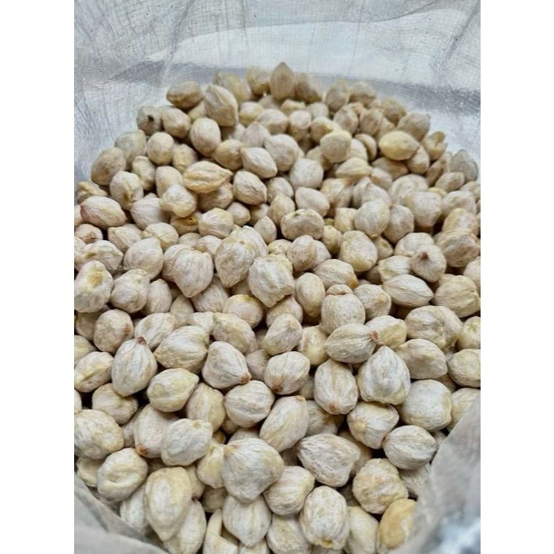 

Kemiri Bulat Per 1/2 Kg