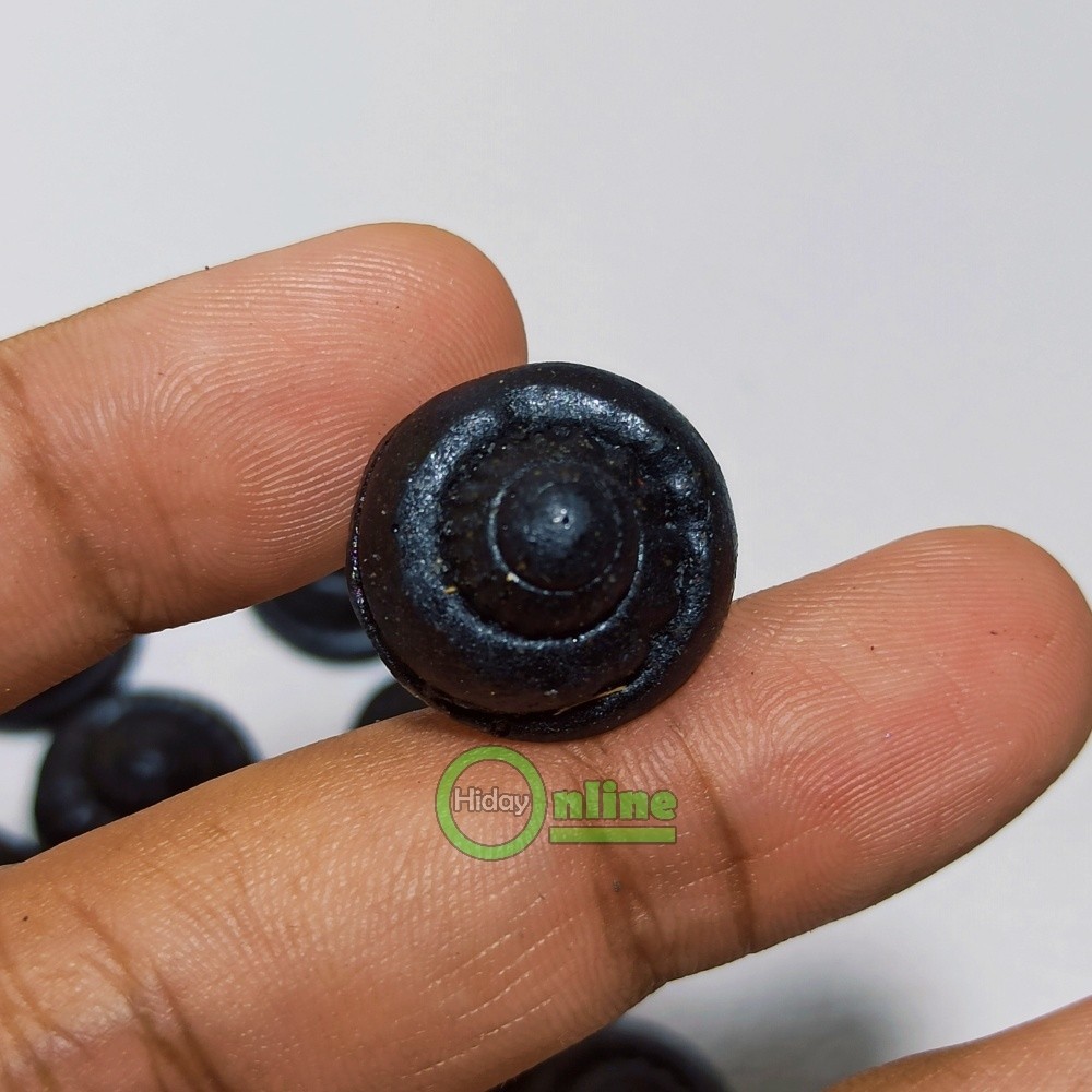 AKIK BADAR BESI KEONG KOL BUNTET HITAM