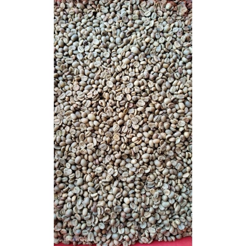 

JAMIN MURAH !!!Green Beans ARABIKA TEMANGGUNG 1KG(BISA LANGSUNG ORDER)