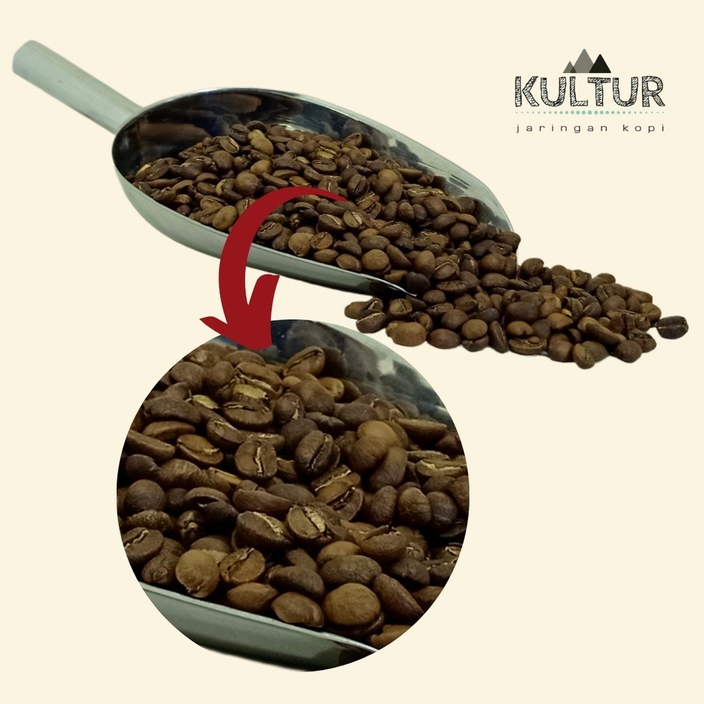 

JAMIN MURAH !!!COFFEE BEAN BIJI KOPI ARABIKA PAPUA WAMENA 500 GR(BISA LANGSUNG ORDER)