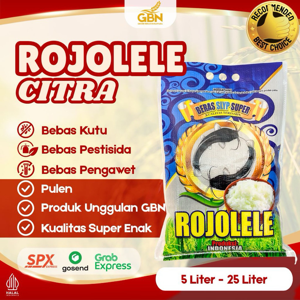 

BERAS ROJOLELE CITRA - KUALITAS PULEN, PUTIH BERSIH, PENGIRIMAN INSTANT