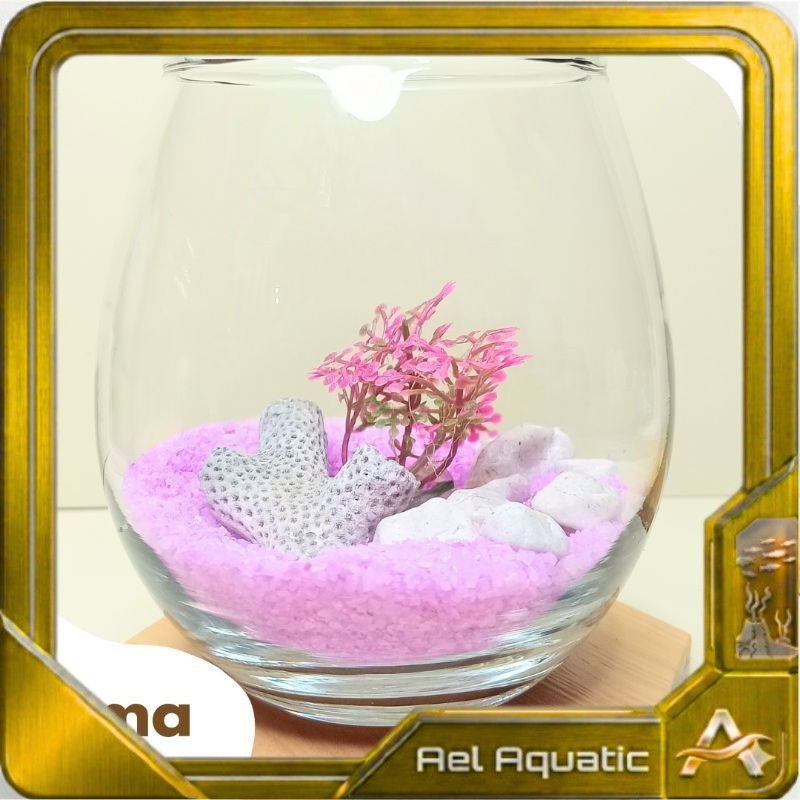 HEAVENLY - AQUATIC- Paket Aquarium mini aestetik warna | Aquarium mini ikan cupang |  Aquarium tank|