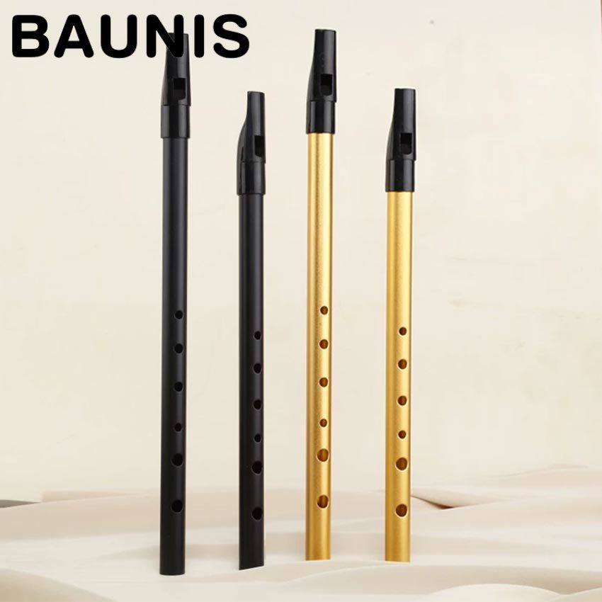 Baunis Tin Flute Irish Whistle Irlandia Flute Seruling C/D