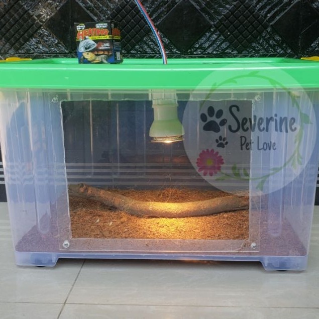 kontainer Container box Modif Akrilik kandang landak mini kandang reptil reptile iguana kandang geck