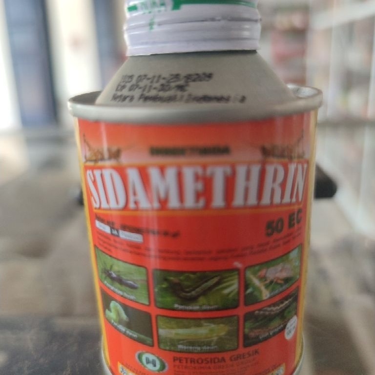 sidamethrin kecil