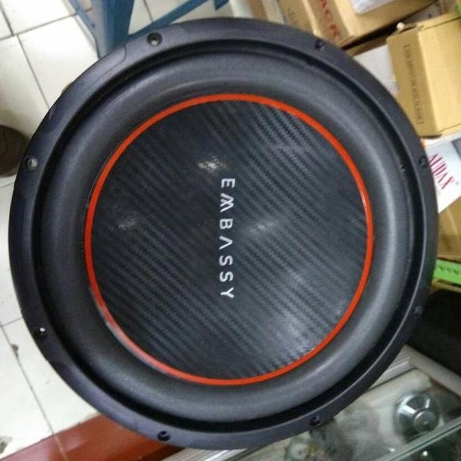ZYL Subwoofer 12" Embassy ES-304S / ES 304S Single Coil